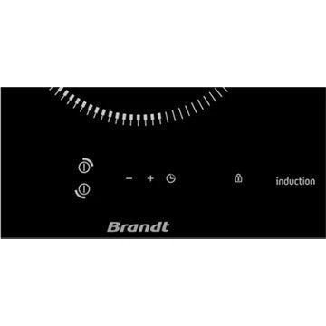 Domino induction							BRANDT				BPI3329B