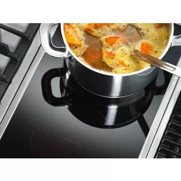 Domino induction							MIELE				CS 1212-1 I